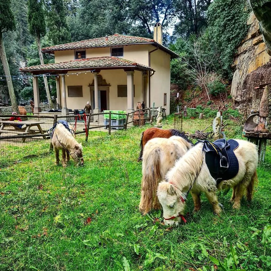 Agriturismo Fattoria Di Maiano Fiesole 0*,