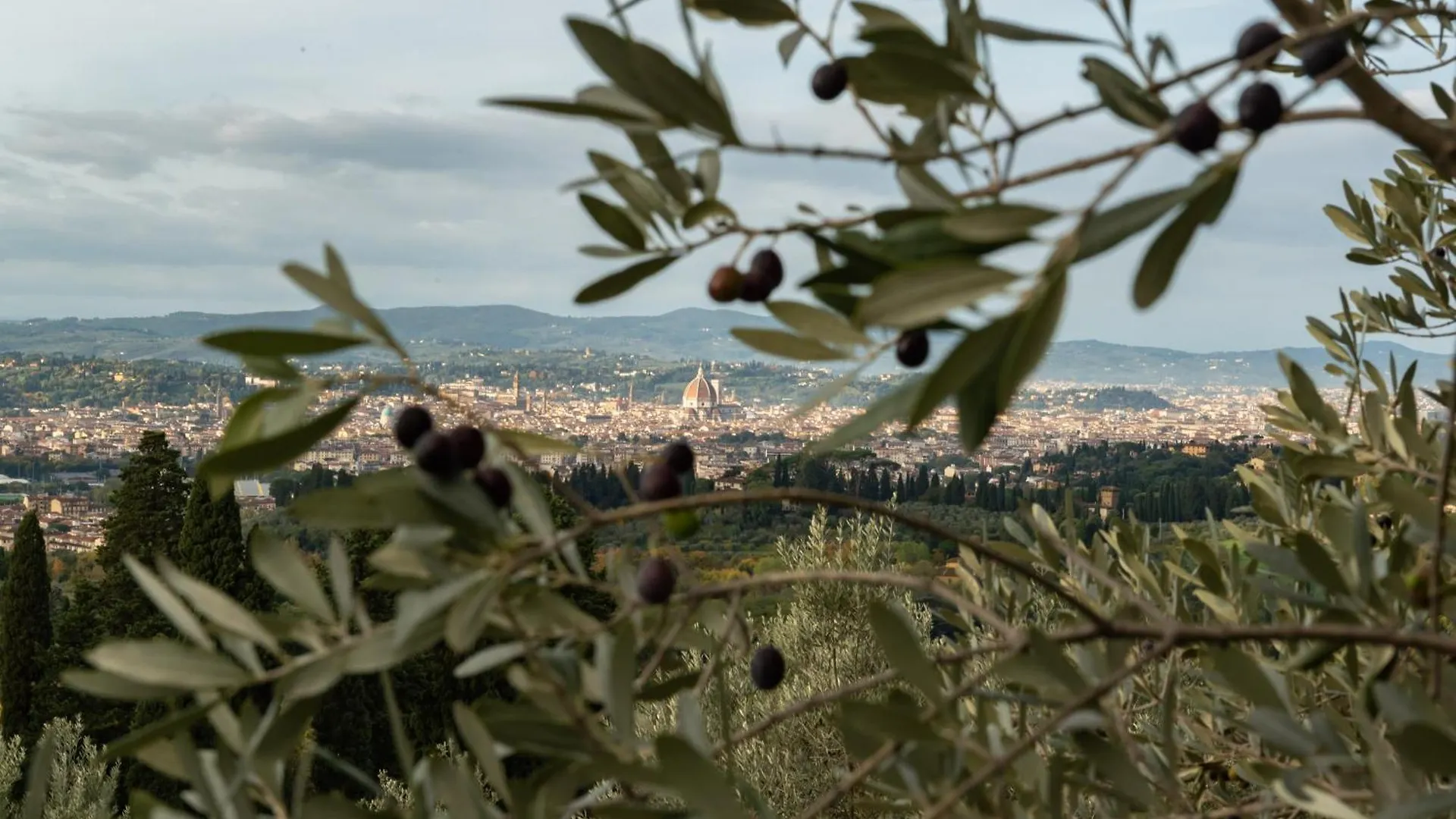 Agriturismo Fattoria Di Maiano Fiesole Çiftlik konaklama