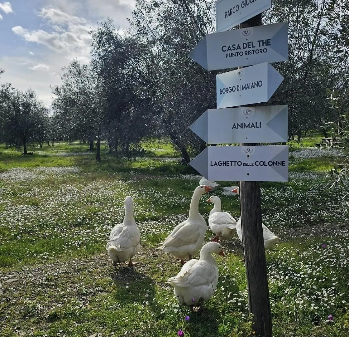 Agriturismo Fattoria Di Maiano Fiesole Çiftlik konaklama