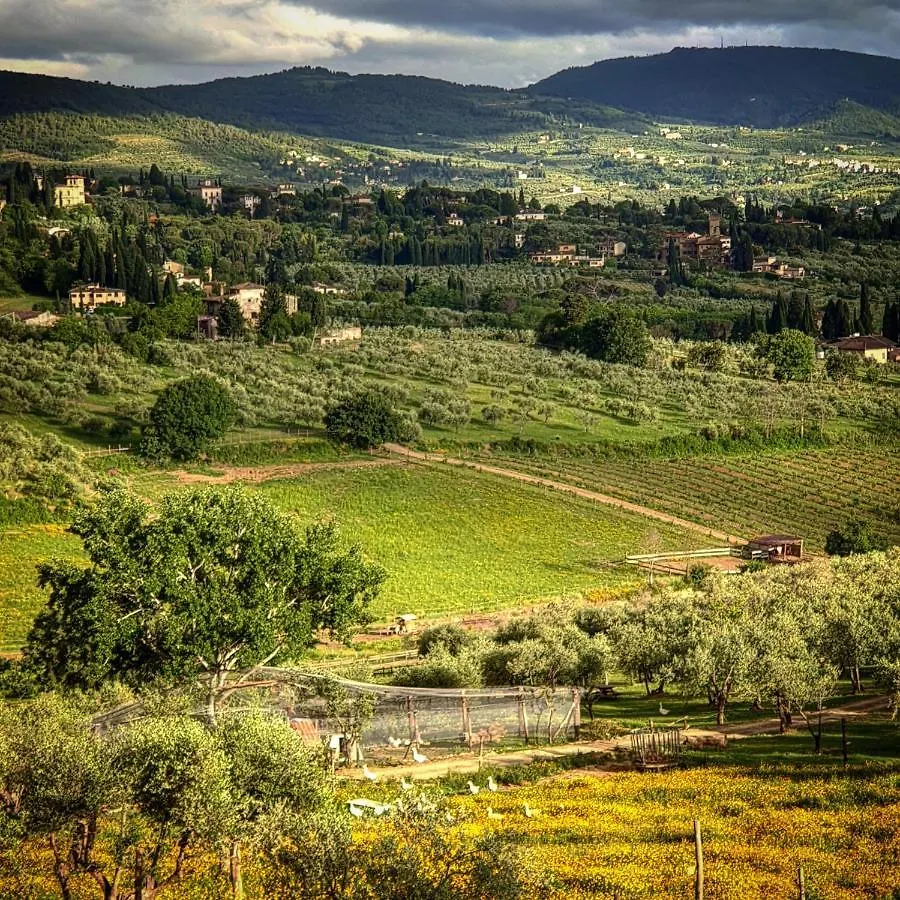 Alloggio per agriturismo Agriturismo Fattoria Di Maiano Fiesole Italia