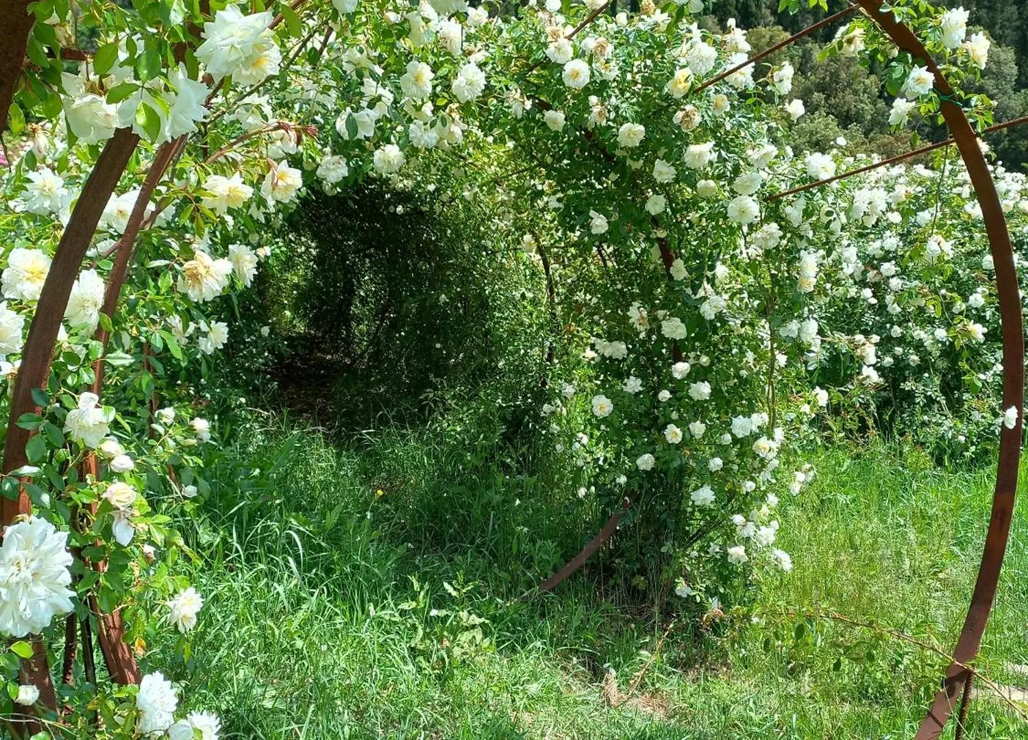 Agriturismo Fattoria Di Maiano Fiesole