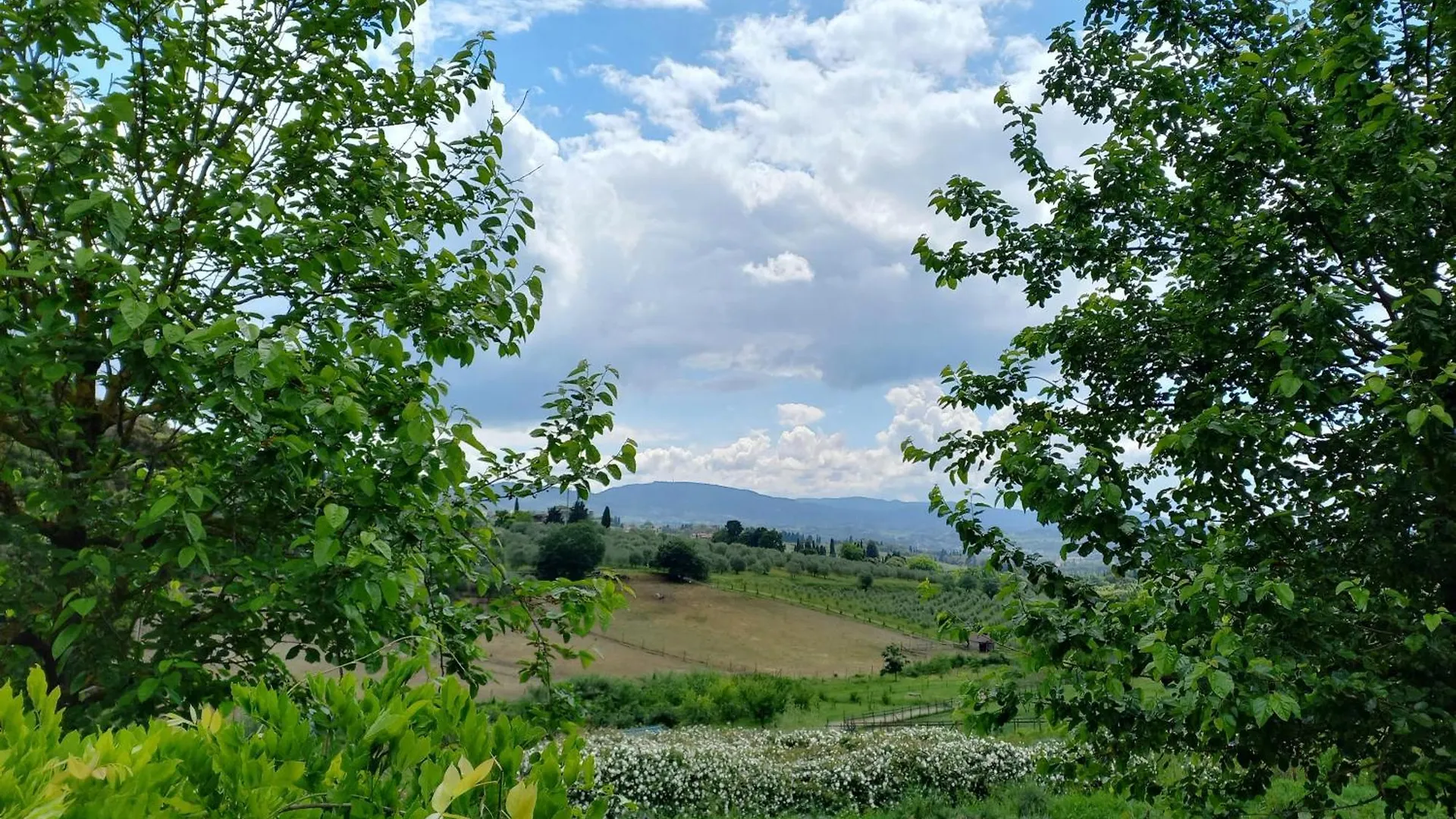 Farm stay Agriturismo Fattoria Di Maiano Fiesole