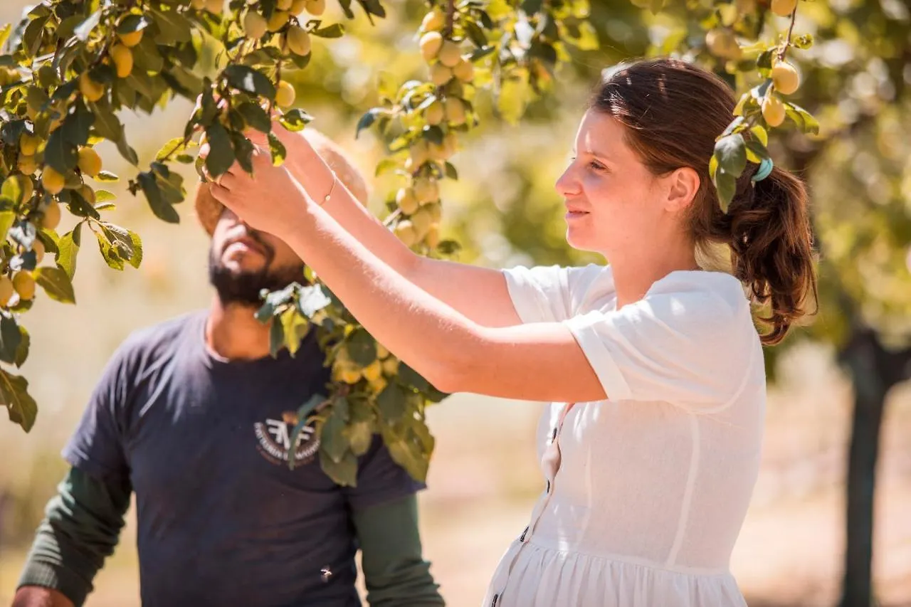 Séjour à la ferme Agriturismo Fattoria Di Maiano Fiesole